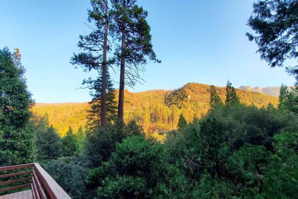 Redwood Retreat, Mountains, Adventure And Nature Ponderosa Luaran gambar