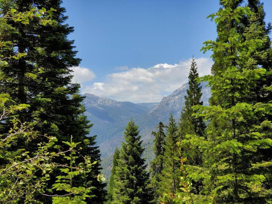 Redwood Retreat, Mountains, Adventure And Nature Ponderosa Luaran gambar