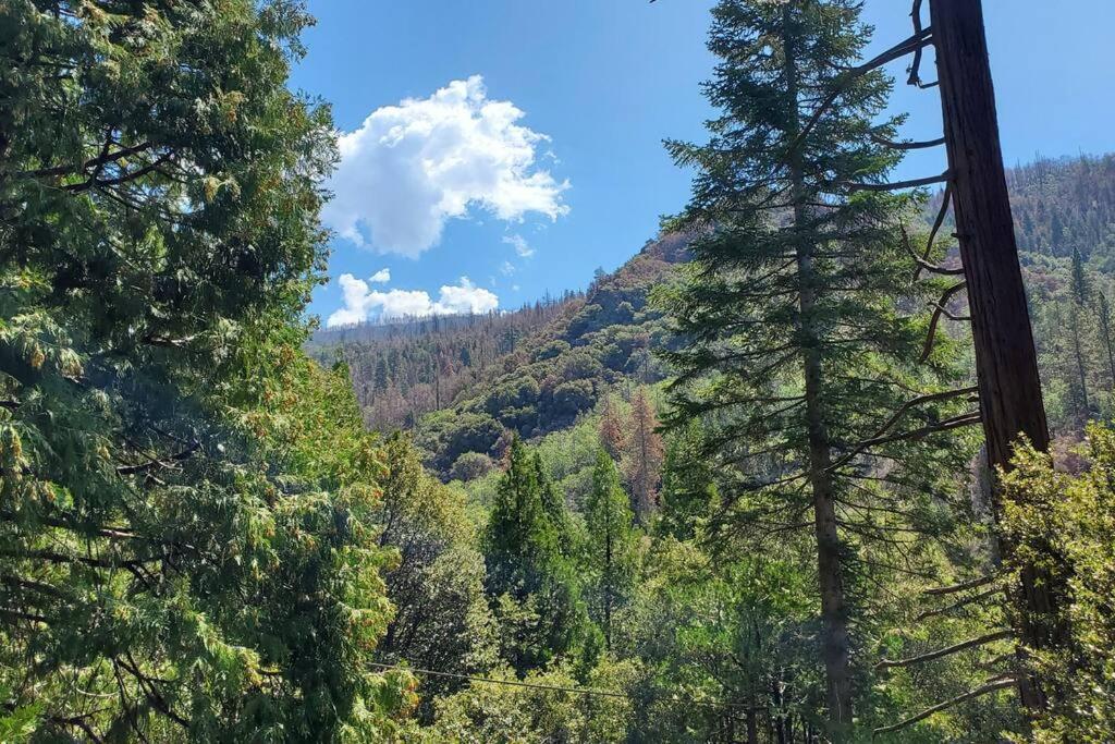 Redwood Retreat, Mountains, Adventure And Nature Ponderosa Luaran gambar