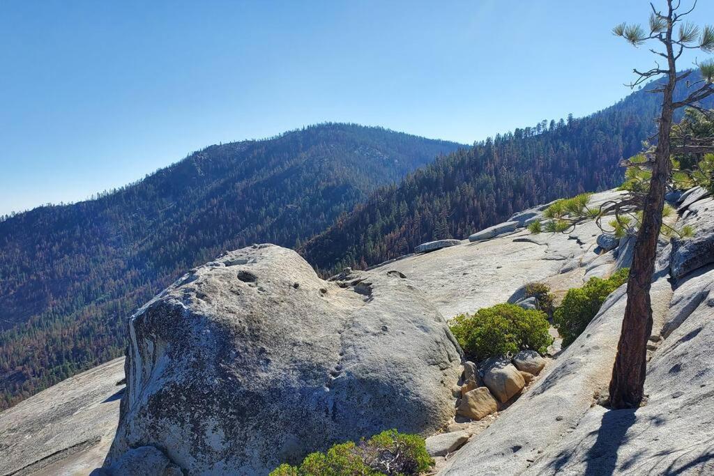 Redwood Retreat, Mountains, Adventure And Nature Ponderosa Luaran gambar