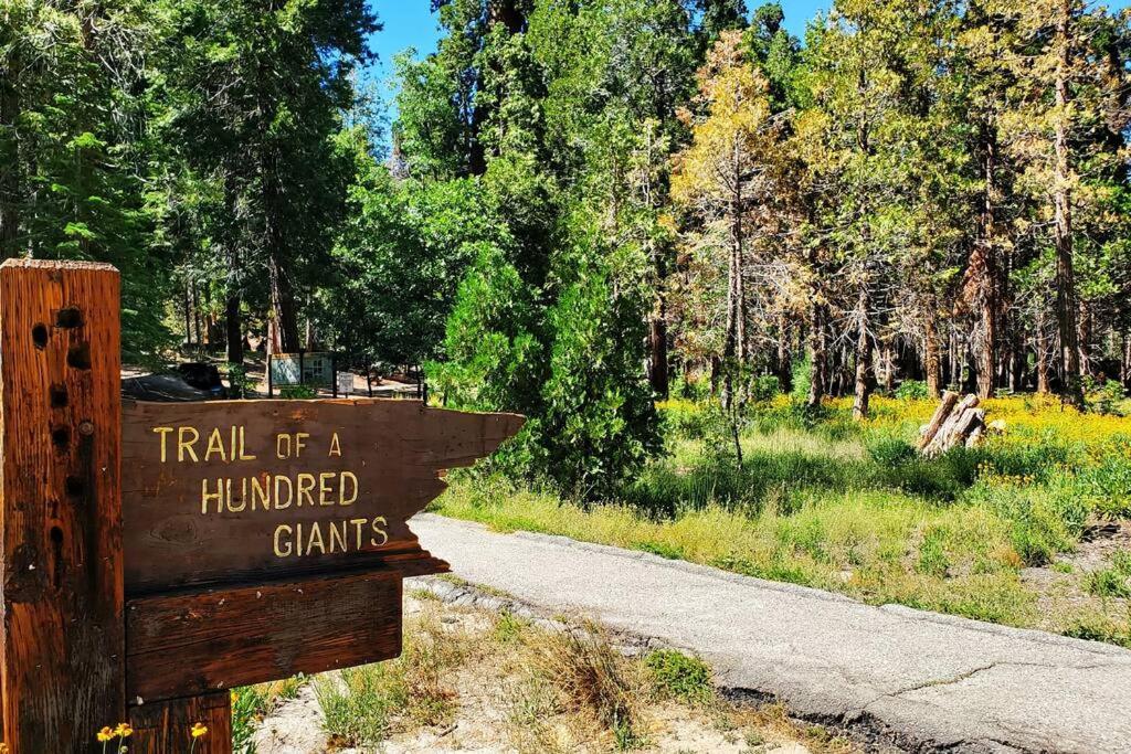 Redwood Retreat, Mountains, Adventure And Nature Ponderosa Luaran gambar