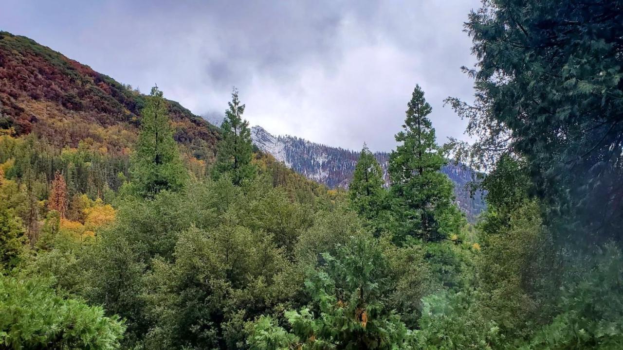 Redwood Retreat, Mountains, Adventure And Nature Ponderosa Luaran gambar