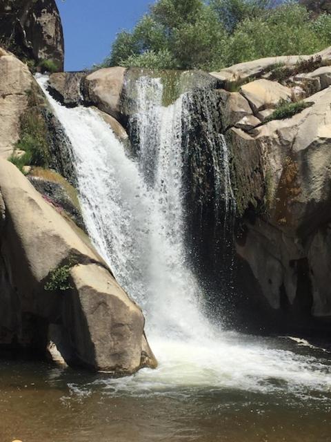 Redwood Retreat, Mountains, Adventure And Nature Ponderosa Luaran gambar