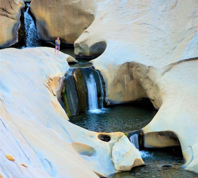 Redwood Retreat, Mountains, Adventure And Nature Ponderosa Luaran gambar
