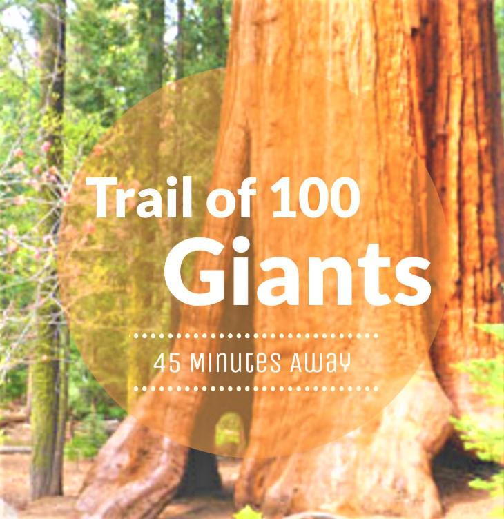 Redwood Retreat, Mountains, Adventure And Nature Ponderosa Luaran gambar