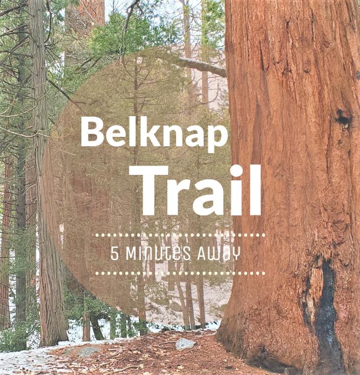 Redwood Retreat, Mountains, Adventure And Nature Ponderosa Luaran gambar