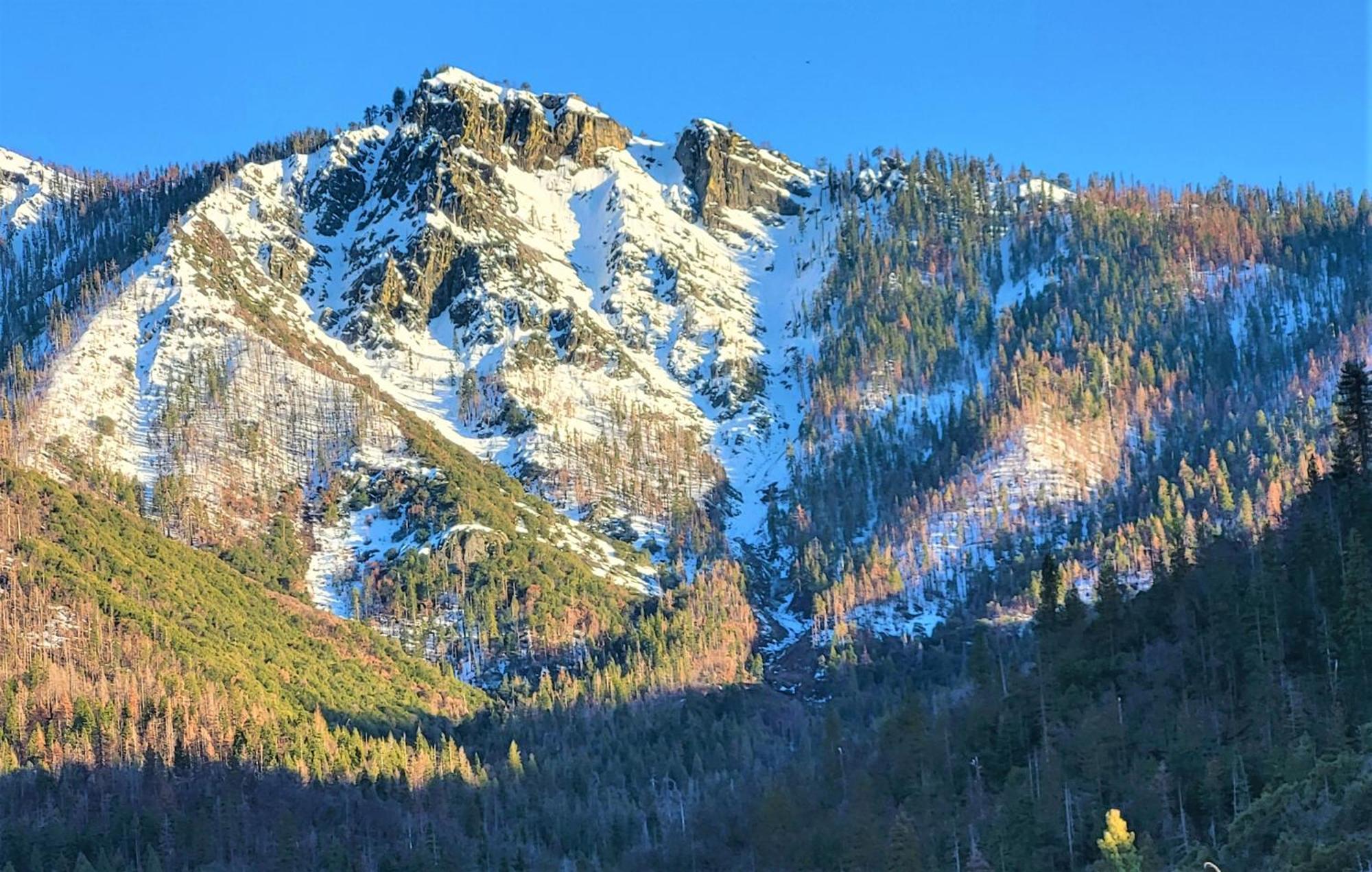 Redwood Retreat, Mountains, Adventure And Nature Ponderosa Luaran gambar